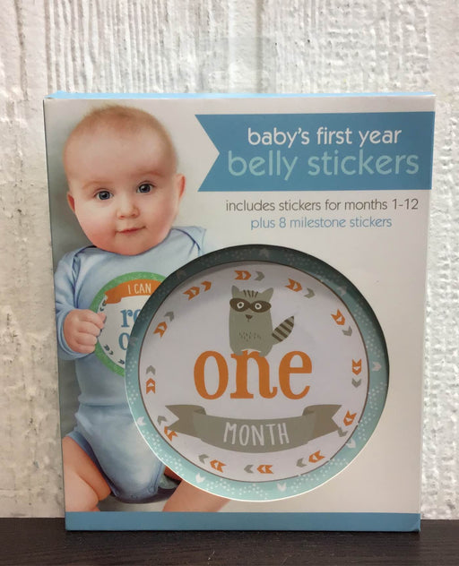 used C.R. Gibson Baby’s First Year Belly Stickers