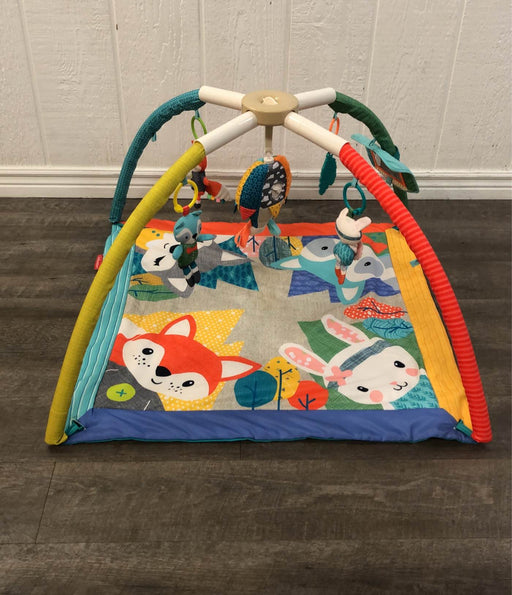 used Infantino Take & Play Activity Gym