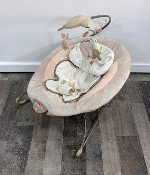 used Fisher Price Deluxe Bouncer, My Little Snugapuppy