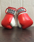 used Childrens Boxing Gloves