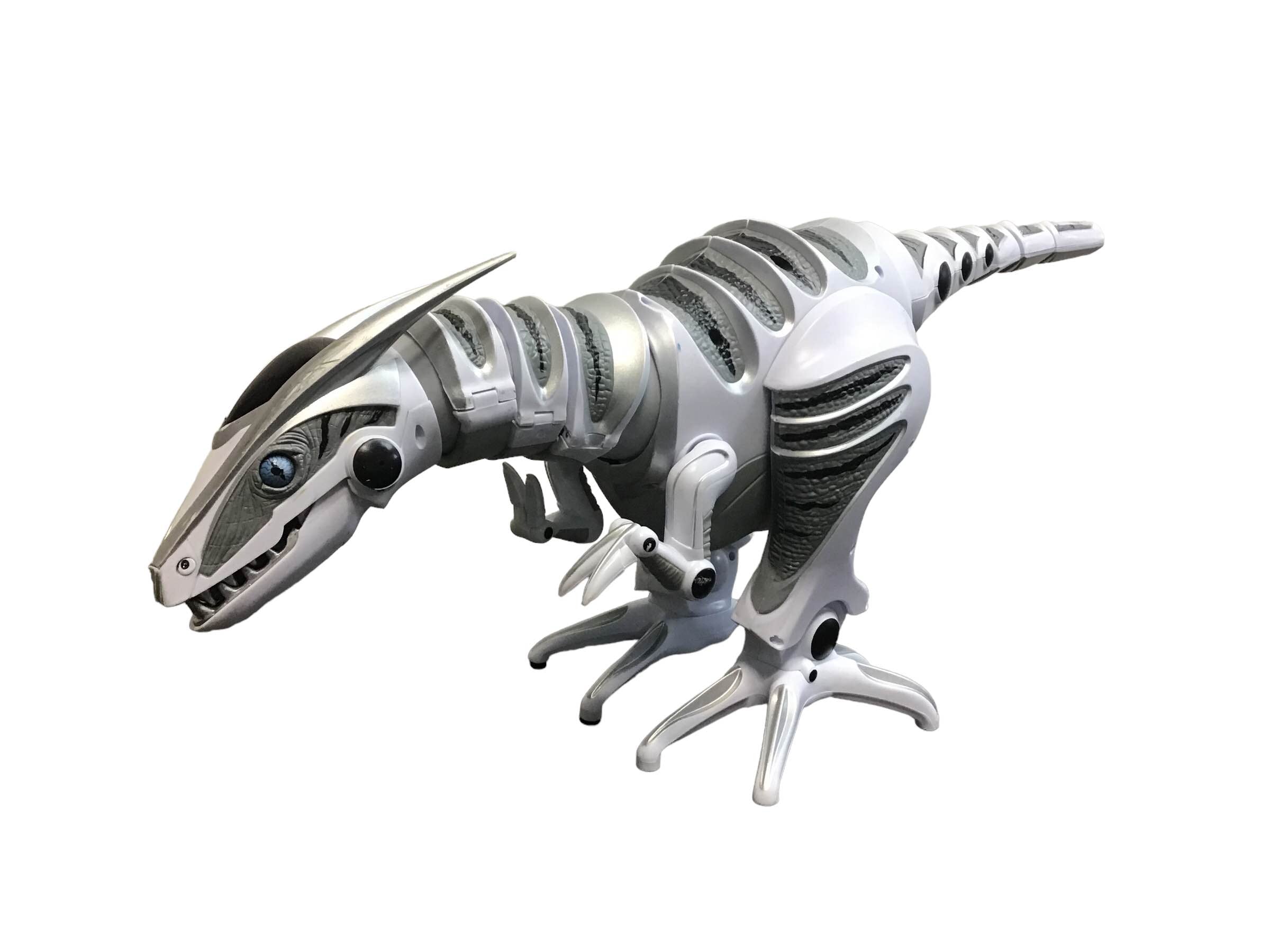 Robo Raptor Symbol Roboraptor