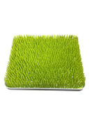 Shop Boon Lawn Countertop Drying Rack With Stem And Twig at GoodBuy Gear