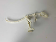 Shop Dinosaur Skeleton at GoodBuy Gear