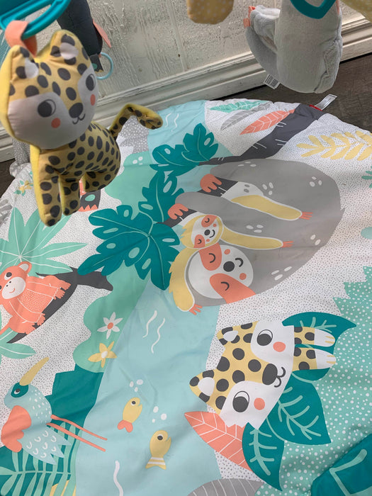 used Skip Hop Activity Gym/ Playmat