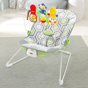 used Fisher Price Baby Bouncer