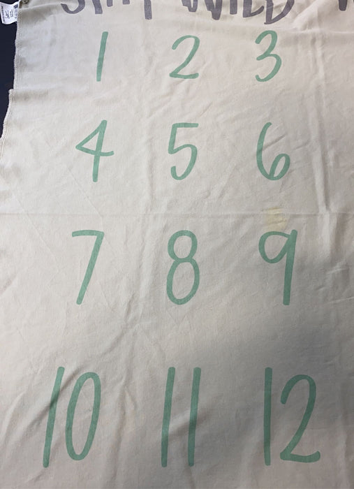 secondhand Milestone Blanket