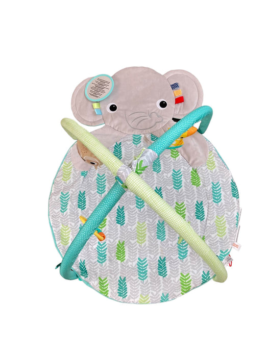 Shop Bright Starts Hug-n-Cuddle Playmat, Elephant/Green at GoodBuy Gear