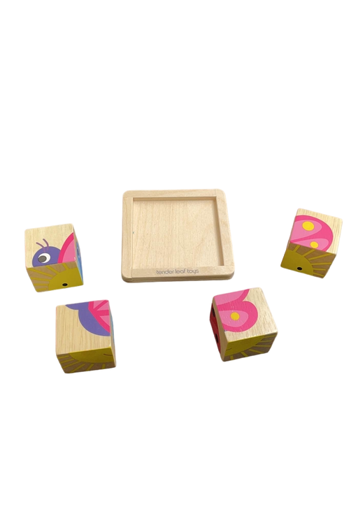 secondhand Tender Leaf Toys Baby Blocks