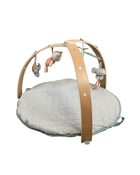 used Ingenuity Cozy Spot Reversible Activity Gym, Loamy