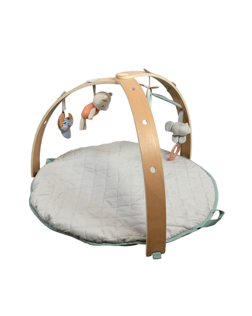 used Ingenuity Cozy Spot Reversible Activity Gym, Loamy