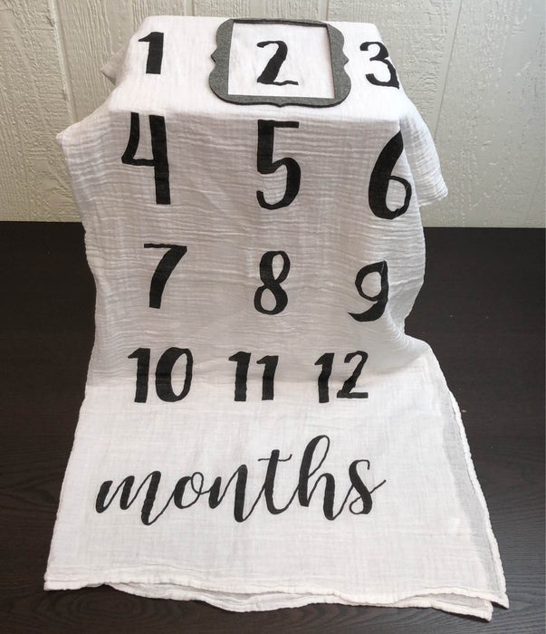 secondhand Mud Pie Monthly Milestone Blanket