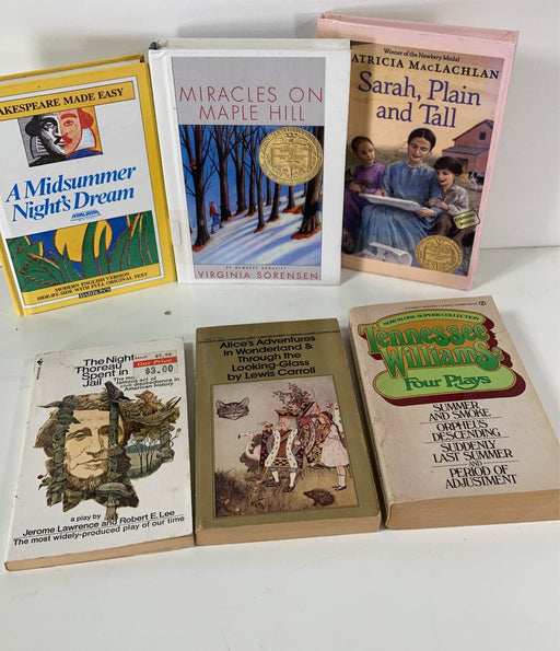 used BUNDLE Chapter Books