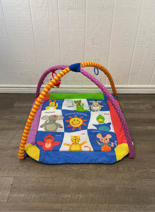 used Baby Einstein Play Gym