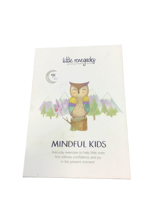 used Little Renegades Mindful Kids Cards