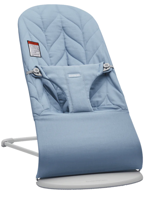 used BabyBjorn Bouncer Bliss