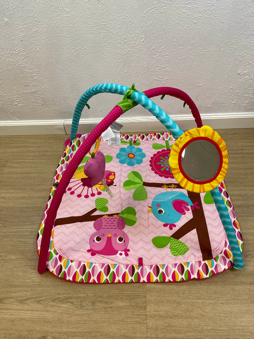 used Bright Starts Activity Gym, Bloomin' Birdies