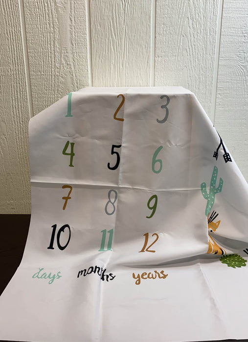 used Milestone Blanket