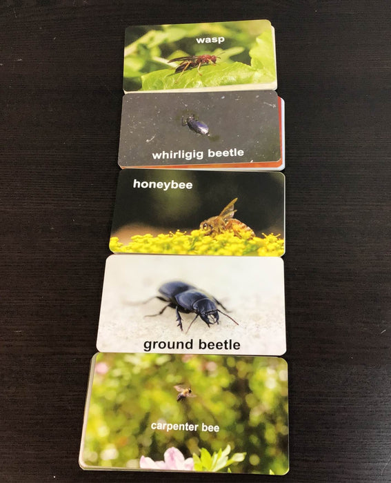 used Flash Of Brilliance Flash Cards