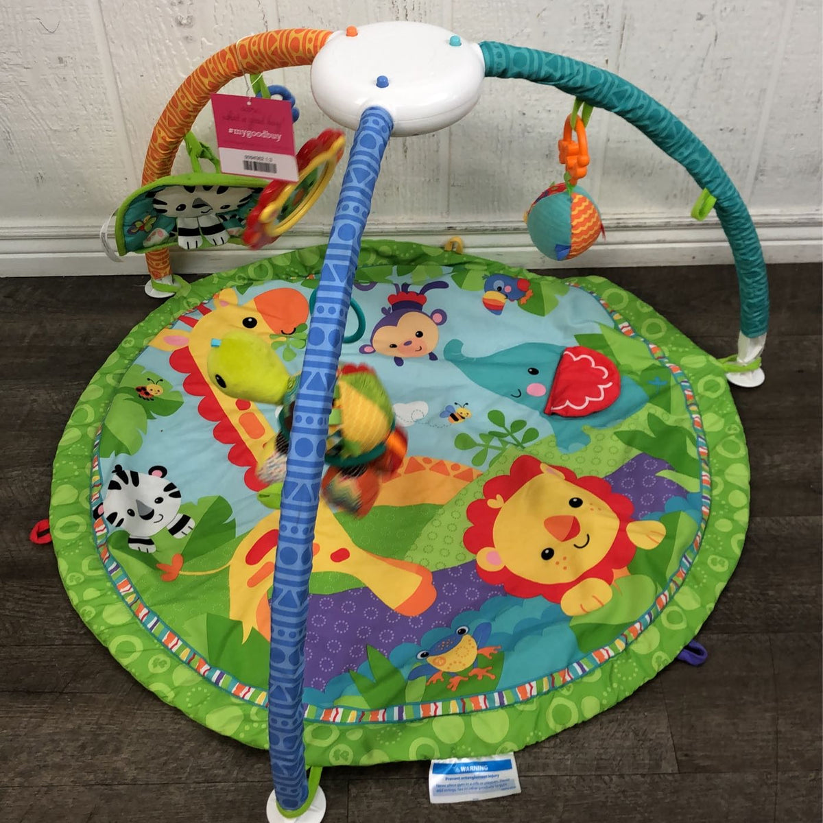 Fisher Price Rainforest Friends Musical Gym