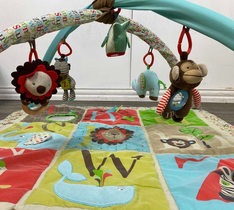 used Skip Hop Activity Gym/Playmat