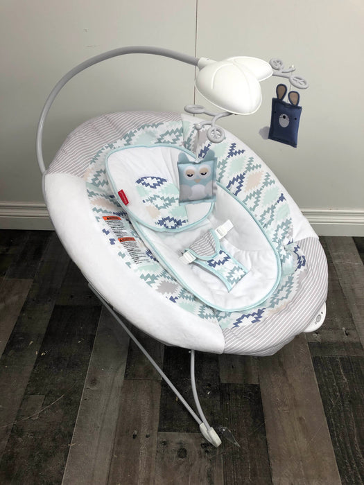 used Fisher Price Deluxe Bouncer