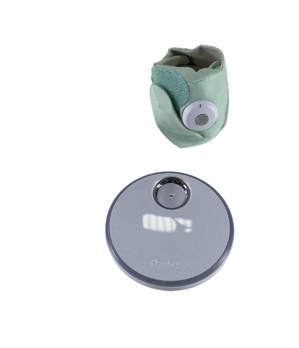 Shop Owlet Dream Sock, Mint at GoodBuy Gear
