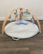 used Ingenuity Cozy Spot Reversible Activity Gym, Loamy