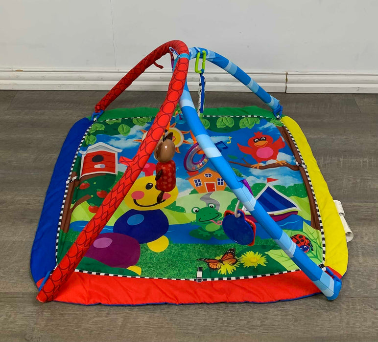 used Baby Einstein Play Gym