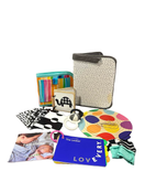 used Lovevery The Looker Play Kit