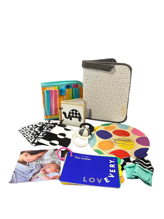 used Lovevery The Looker Play Kit