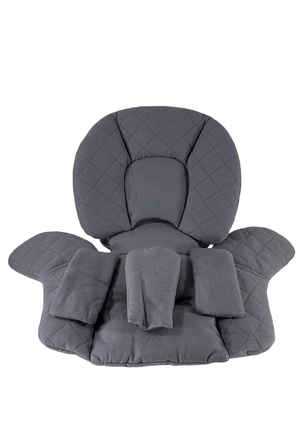 Nuna pipa series shop insert