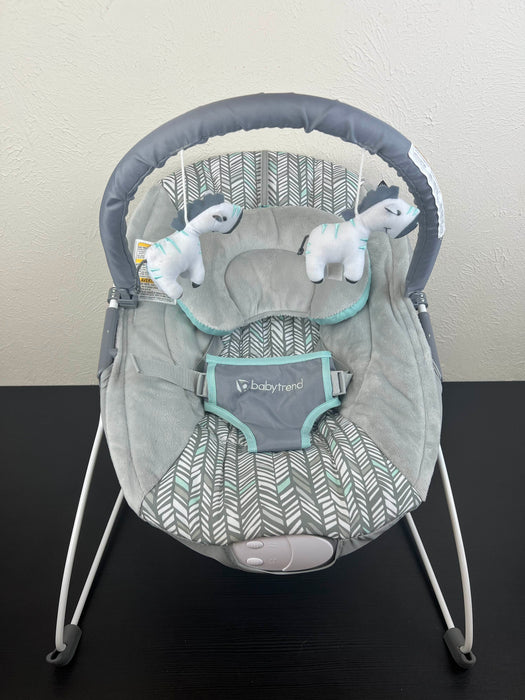 used Baby Trend EZ Bouncer, Ziggy