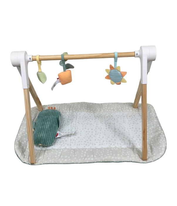 used Skip Hop Garden Oasis Toy Arch with Mat