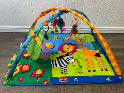 used Tiny Love Gymini Super Deluxe Activity Playmat
