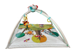 secondhand Tiny Love Gymini Deluxe Activity Gym, Meadow Days