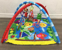 secondhand Baby Einstein Activity Gym, Caterpillar And Friends