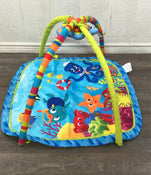 used Baby Einstein Play Gym