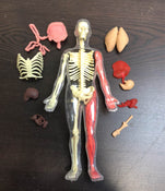 used SmartLab Squishy Human Body