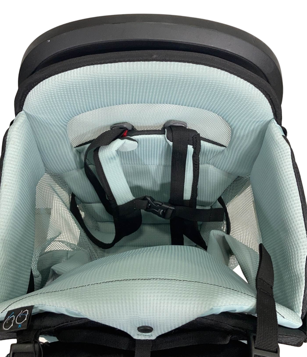 Thule Sapling Child Carrier, Black