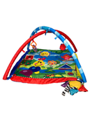 used Baby Einstein Activity Gym, Caterpillar And Friends