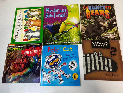 secondhand BUNDLE Picture Books