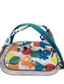 used Baby Einstein Activity Gym