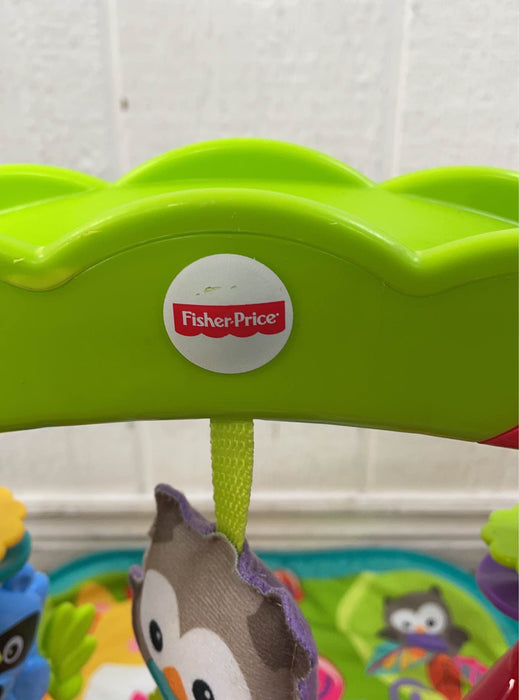 used Fisher Price Newborn To Toddler Play Gym