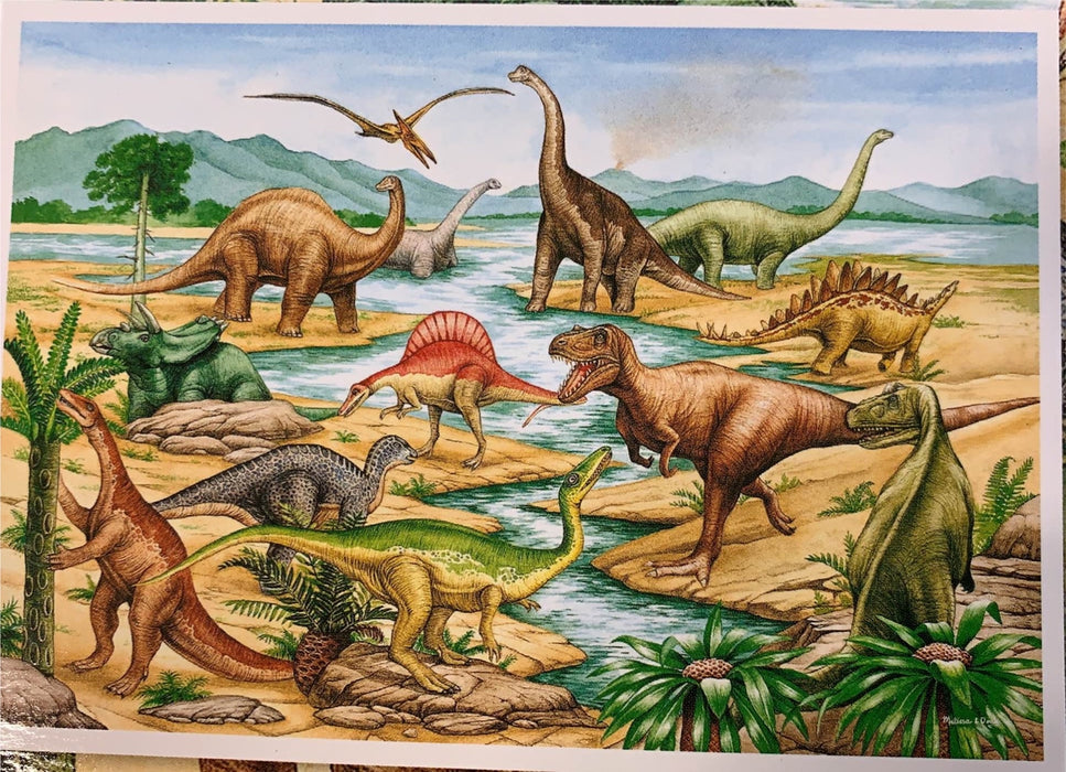 secondhand Melissa & Doug Floor Puzzle, Dinosaurs