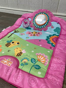 secondhand Bright Starts Flowers And Friends Prop Mat