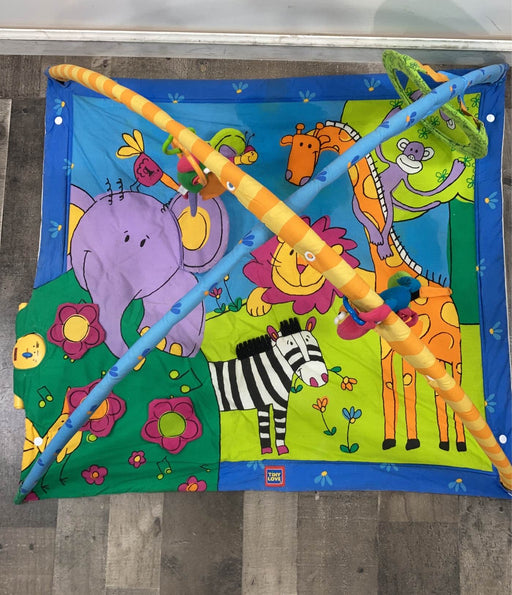 secondhand Tiny Love Gymini Super Deluxe Activity Playmat