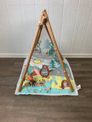 secondhand Skip Hop Camping Cubs Activity Gym