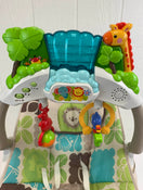 used Fisher Price Baby Bouncer