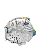 Shop Sassy Tummy Time Reversible Milestone Activity Gym at GoodBuy Gear