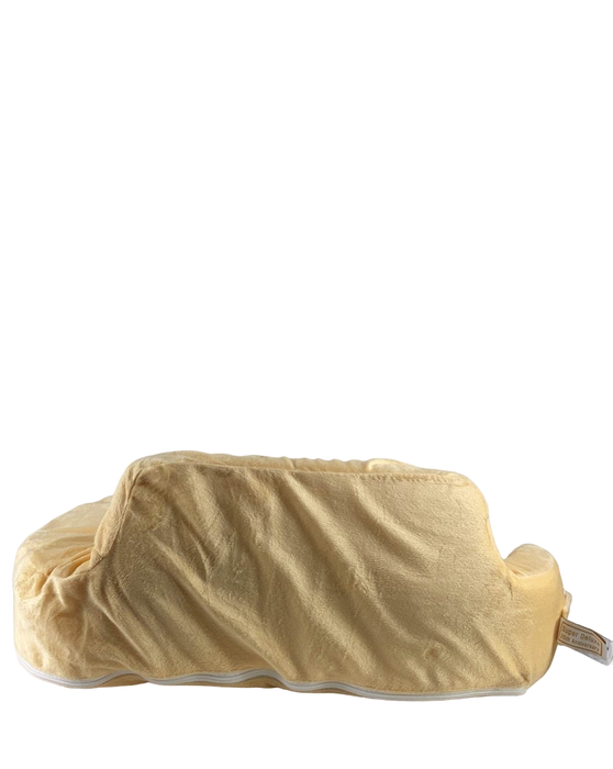 secondhand My Brest Friend Twins Plus Slipcover, Light Green - REQ FULL PILLOW? 1/20